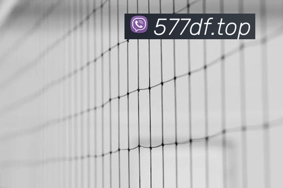 巅峰国际APP 体育赛事宣传图